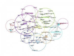 Photo of the Leximancer Program Map | Featured image for Analyse Your Transcripts Using Leximancer Software.