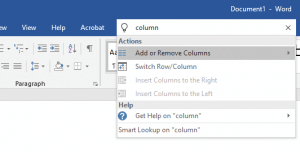 Microsoft Word Search Box